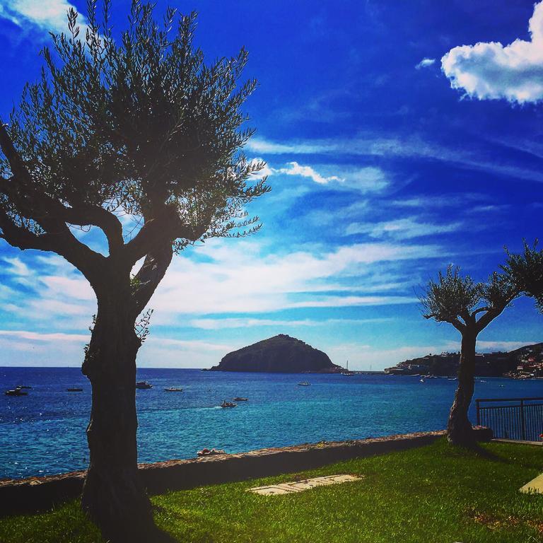 Albergo Villa Giusto Barano dʼIschia Esterno foto